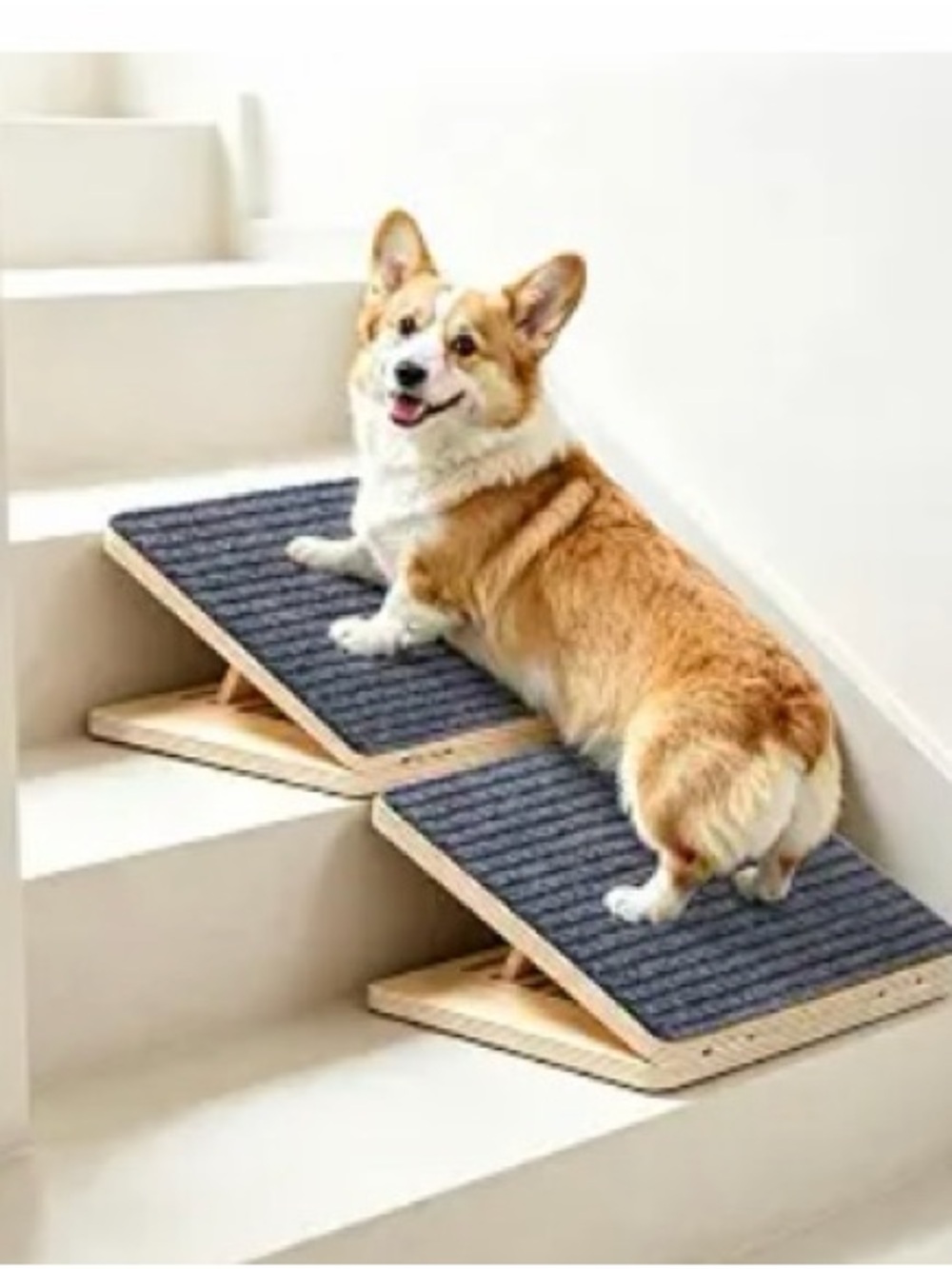Dog Stair Ramp for Small Dogs and Cats - Gray Carpet